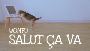 影片截圖：旺福．Salut ça va