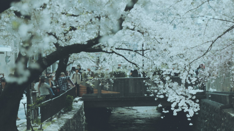 影片截圖：A Dream In Japan